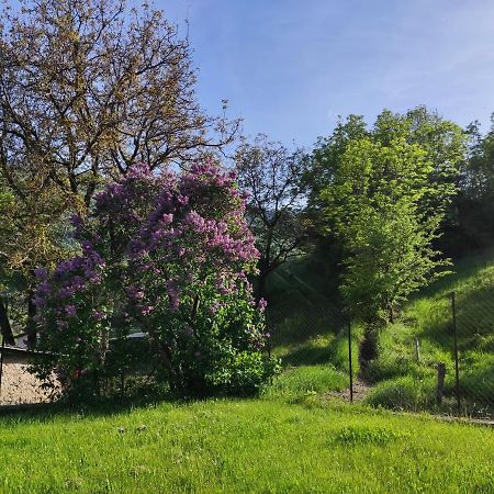 Villa Comme Chez Vous Bayons Esterno foto